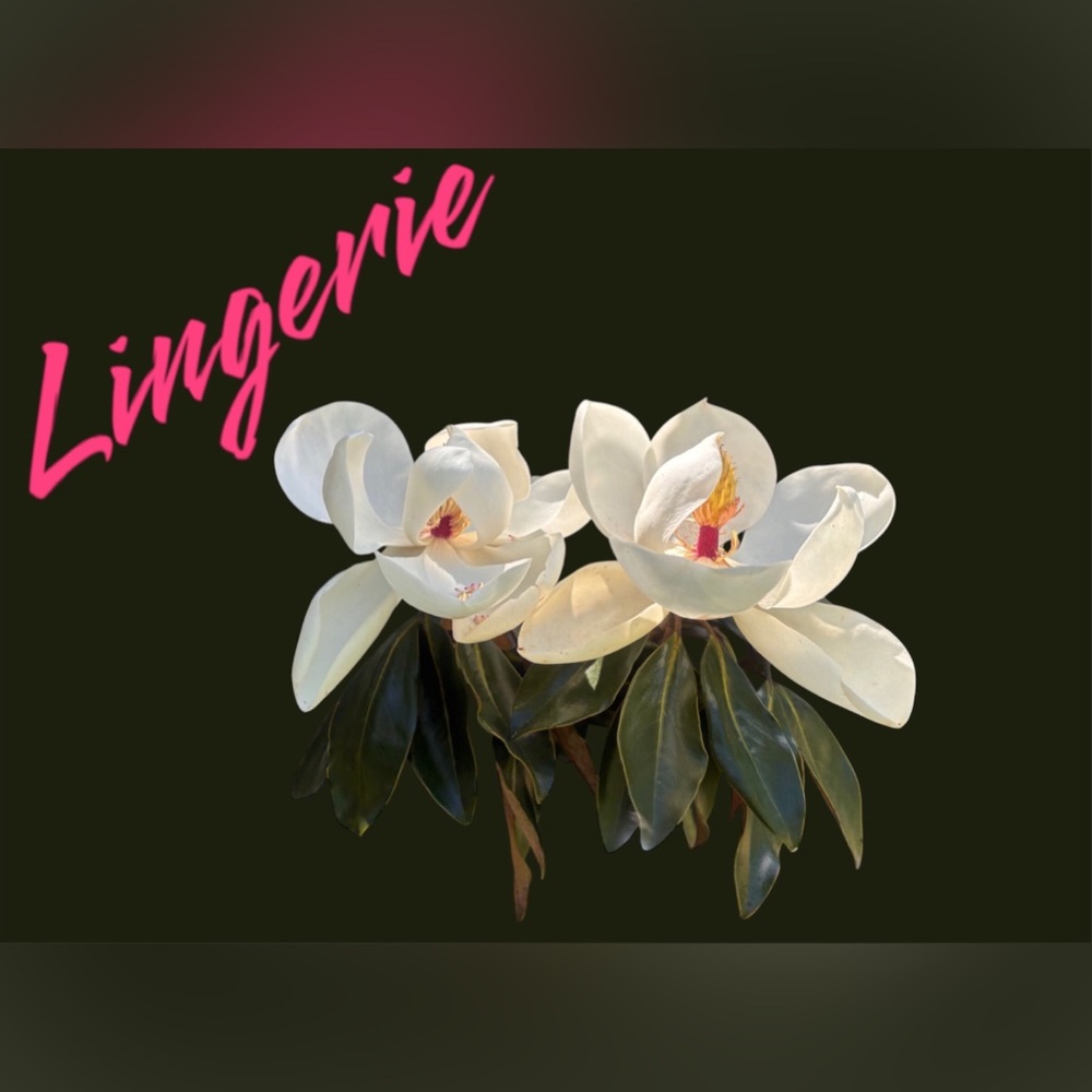 Lingerie